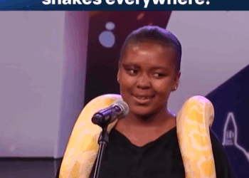 C0909015 We’ve Never Seen Shado Like This Before_part2