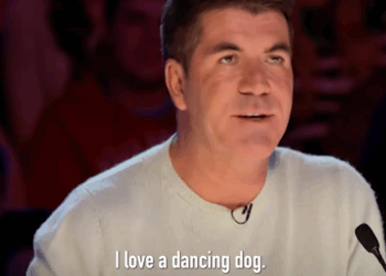 C1010015_Ashleigh her dog Pudsey win Judges hearts cute audition_part2