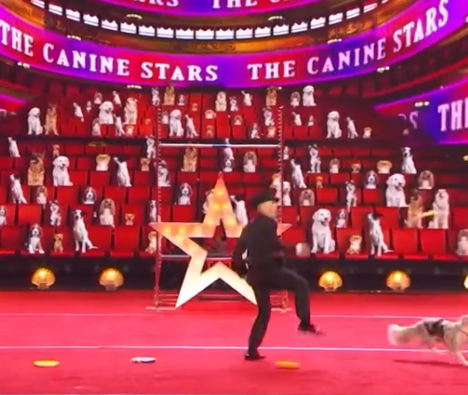 C0111015_Canine Stars Bring Their Game to Quarter Finals on America Got Talent!_part2