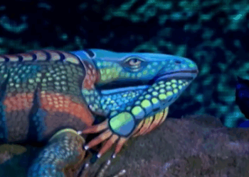 C2411006_Artist Johannes Stötter Brings His INCREDIBLE Bodypainting Art To Life_part2