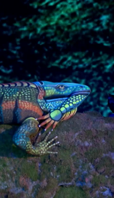 C2411006_Artist Johannes Stötter Brings His INCREDIBLE Bodypainting Art To Life_part2