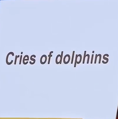 C2511006_UNEXPECTED Audition Gives Judges GIGGLES!_part2