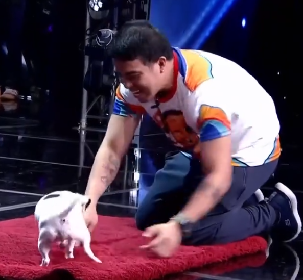 C0611006_CUTE Dogs Have Everyone Smiling on Philippine Got Talent!_part2