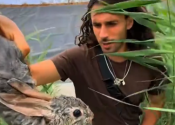 C2212006_Kind man saved drowning rabbit #rescue #animals #animalsoftiktok #r…