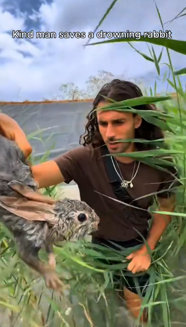 C2212006_Kind man saved drowning rabbit #rescue #animals #animalsoftiktok #r…