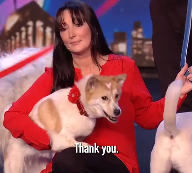 C0412006_Prepare to have your heart melt moving dog act _part2