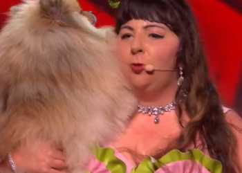 C0701013_Sarah dog Meatball attempt tricks in adorably chaotic audition_part2