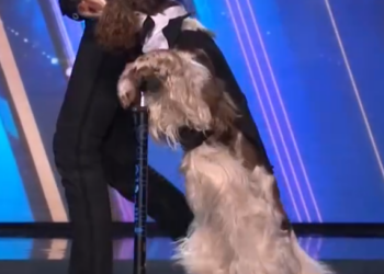 C1001002_Olga returns to stage her fabulous piano playing dog, Bonnie!_part2