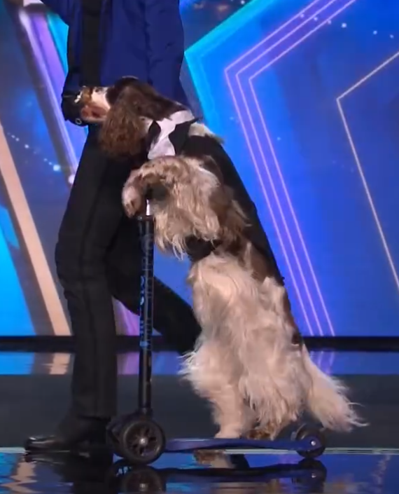 C1001002_Olga returns to stage her fabulous piano playing dog, Bonnie!_part2